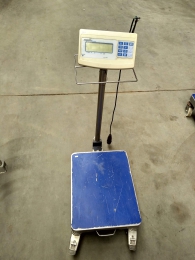 Mobiele weegschaal Precia